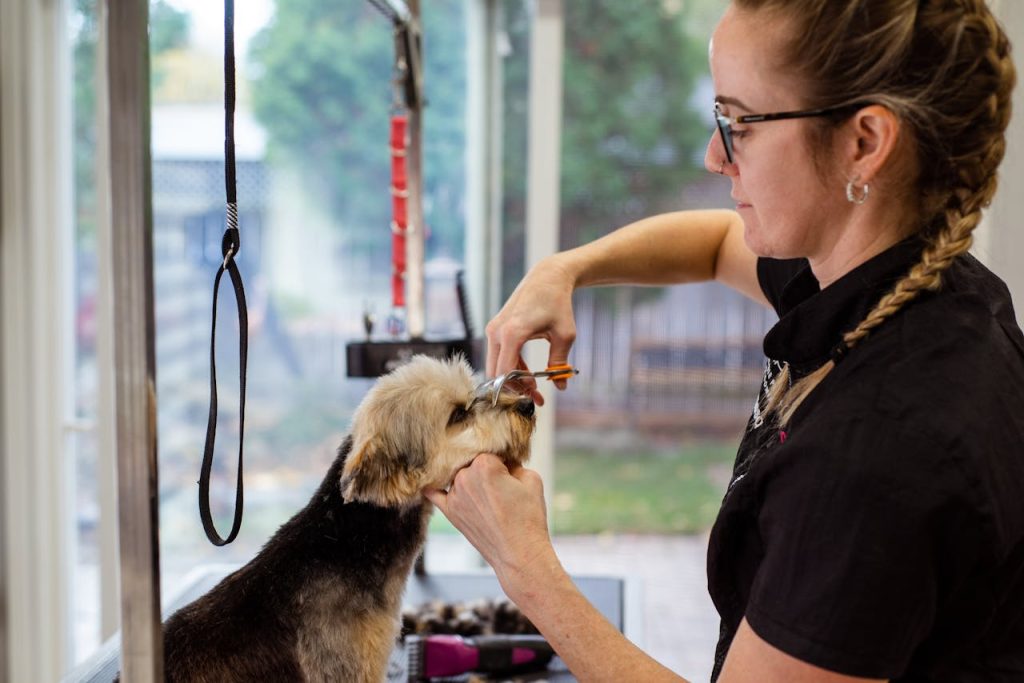 A dog groomer expertly trimming a dogs fur in a bright grooming salon.